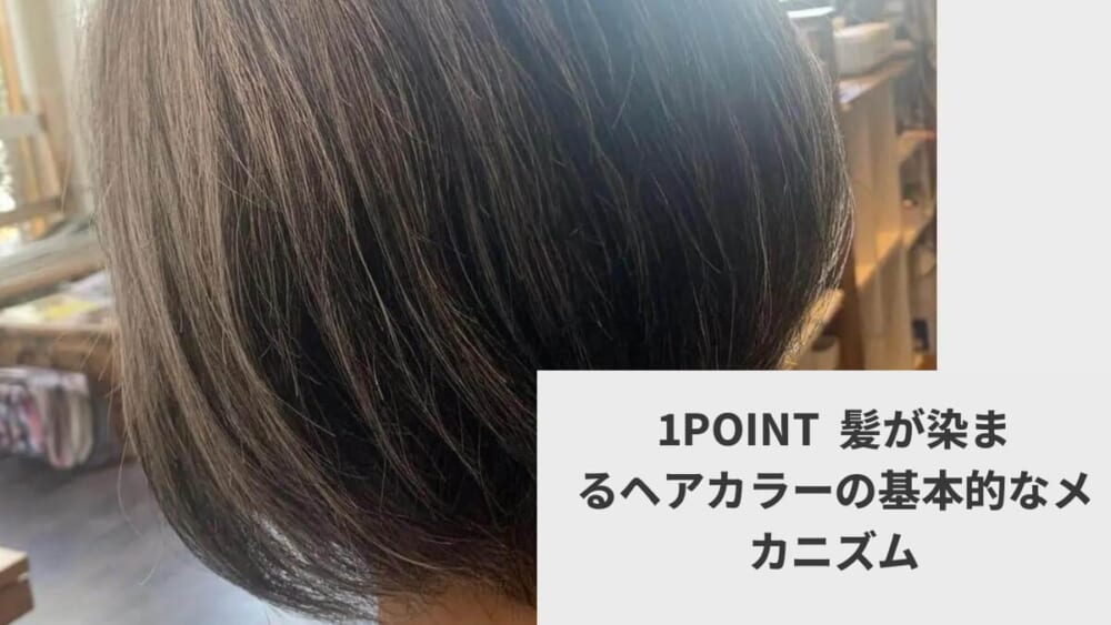 1POINT  髪が染まるヘアカラーの基本的なメカニズム